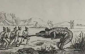 Roux: 16th century French expedition. Florida. Crocodile hunting
