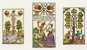 Acorns: 16THC CARD DESIGNS