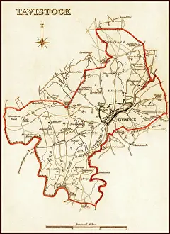 Boroughs: 1832 Victorian Map of Tavistock