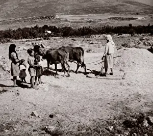 Threshing: 1843 - Syria - threshing grain with donkeys