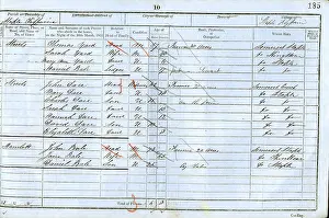 Staple: 1851 Census
