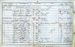 Staple: 1851 Census