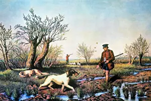 Retrieving: 1852 Man with Muzzleloading Gun and Sporting Dogs