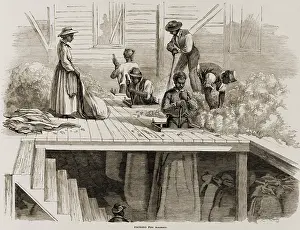 Finer: Four 1869 illustrations show processing ?