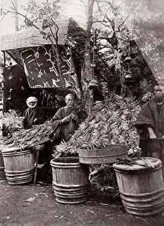 Occupational: 1870's Japan - selling lobsters