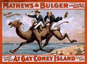 Bulger: 1898 poster for the Mathews & Bulger comedy ?