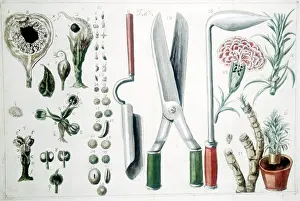 Fiori: 18th century gardening tools and equipment
