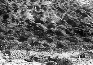 Bourges: 1916: Battle of Verdun