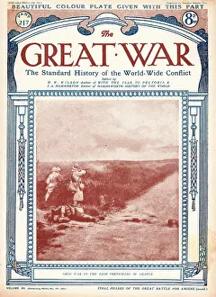 Cornfields: 1918 The Great War Grim war in cornfields of France