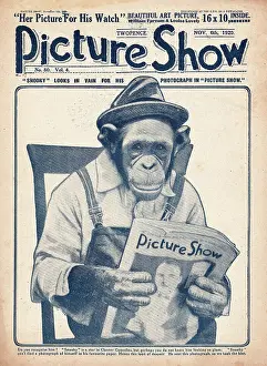 Snooky: 1920 Picture Show Chimpanzee Snooky