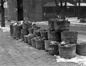 Pollute: 1920s 1930A Ash Trash Garbage