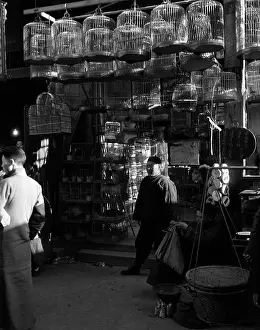 Birdcages: 1920s 1930s Man Standing In Front