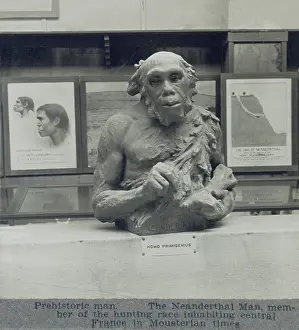 Hominids: 1920s conjectural creation of a Neanderthal man