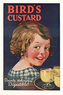 Birds Custard: 1925 UK Magazine Bird's Custard Advert