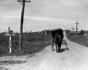 Amish: 1930s Amish Man Driving Buggy