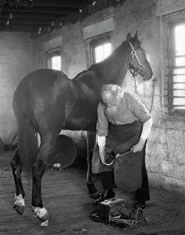 Nailing: 1930s Elderly Bearded Blacksmith
