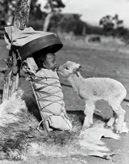 Papoose: 1930s Lamb Approaching Navajo