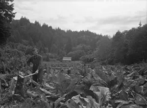 Reclaim: 1930's Oregon pioneer. After taking over ?