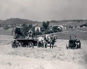Dumping: 1930s Pair Of Men Dumping Hay