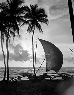 Plam: 1930s Single Catamaran On Tropical