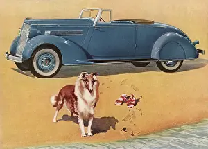 Chevrolet: 1935 Packard 120 Convertible Coupe