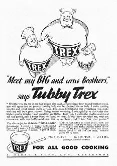 Trex: 1939 UK Magazine Trex Advert