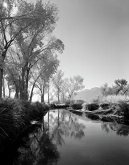 Infra: 1940s 1950s 1960s Peaceful Stream