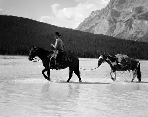 Bareback: 1940s Cowboy On Horseback Crossing