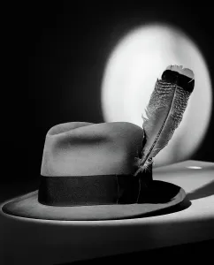 Accomplishment: 1940s FEDORA HAT WITH FEATHER IN BAND IN SPOTLIGHT