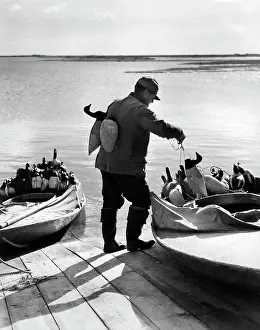 Gunning: 1940s Hunter Putting Duck Decoys
