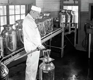 Dairying: 1940s Milk Can Dairy