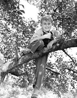 1940s Smiling Young Boy On Branch