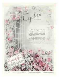 Fanny: 1941 UK Magazine Cyclax Advert