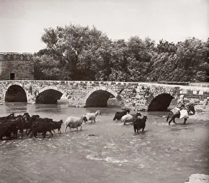 Hama: 1943 Syria - Hama on the river Orontes