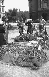 Vlasovs: 1945 - WW2 - The liberation of Prague