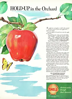 Oil Company: 1947 U.S. Magazine Shell Research Advert