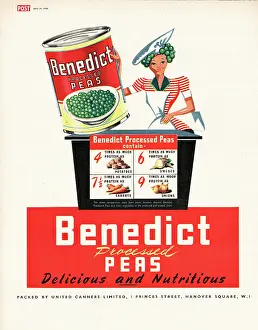 1948 UK Magazine Benedict Peas Advert