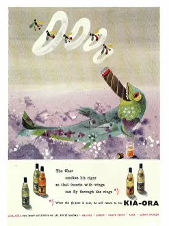 Grapefruit: 1949 UK advert Kia-ora fruit drinks