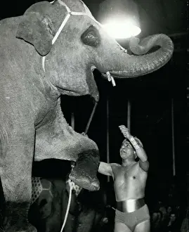 Sabu: 1950-1959 Actor - Actress
