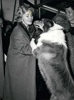 Borzoi: 1950-1959 Actor - Actress
