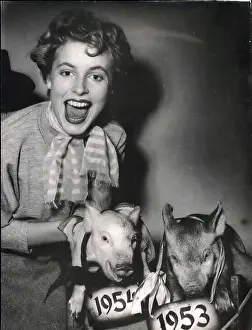 Pferde: 1950-1959 Actor - Actress