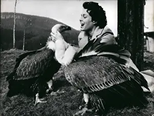 Rutting: 1950-1959 Actor - Actress