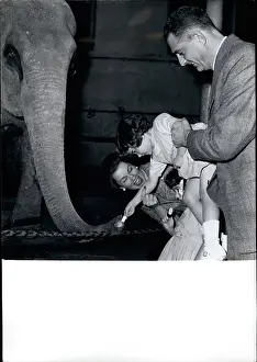 Senor: 1950-1959 Actor - Actress