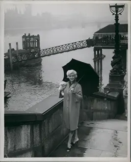 Pekinese: 1950-1959 Actor - Actress