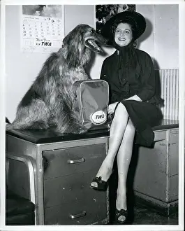 Solange: 1950-1959 Actor - Actress