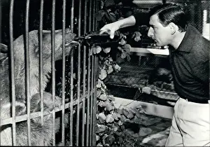Rascal: 1950-1959 Actor - Actress