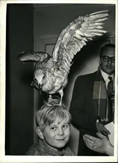 Lodgings: 1950-1959 Actor - Actress