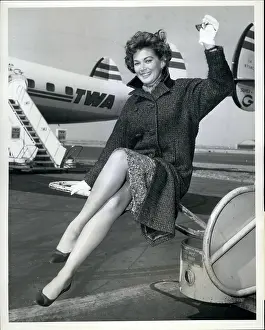 Shapely: 1950-1959 Actor - Actress