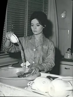 Satisfaction: 1950-1959 Actor - Actress