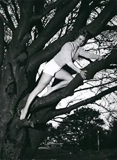 Shapely: 1950-1959 Actor - Actress